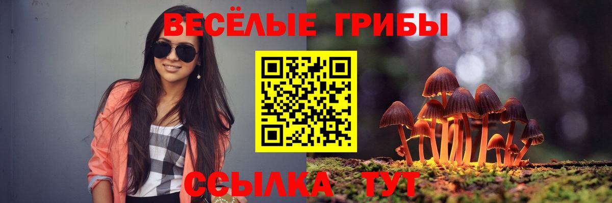 Галлюциногенные грибы ЛСД  Вход с VPN  Псилоцибиновые грибы MAGIC MUSHROOMS  Клинцы 